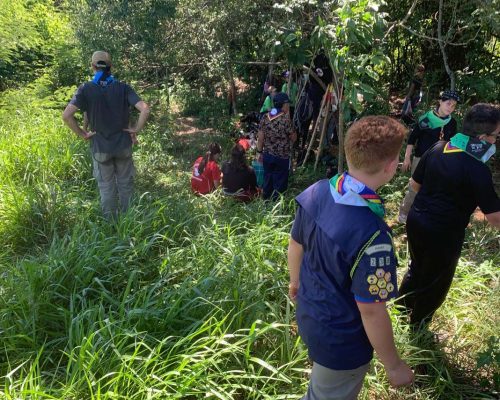 IAT inicia plantio de 5 mil mudas nativas para reforçar proteção dos rios do Paraná